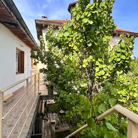 Atelier19 فيليكو ترنوفو