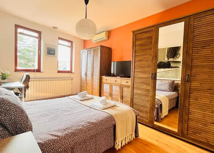 公寓 Atelier19 大特尔诺沃