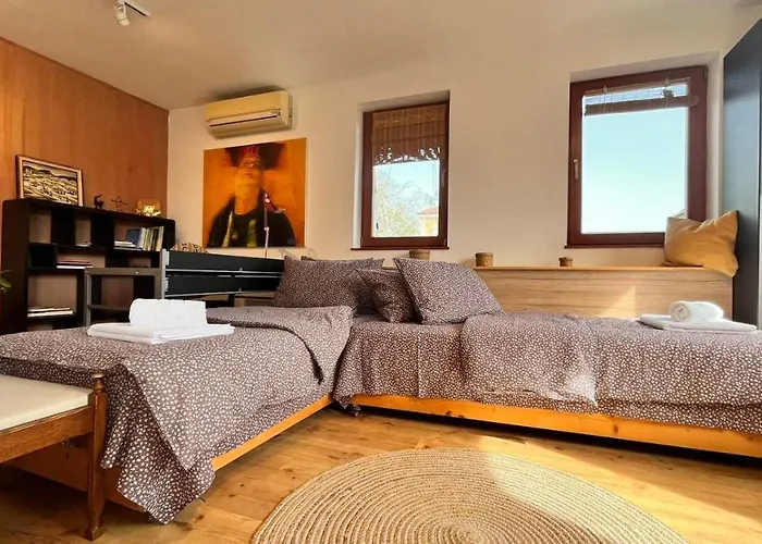 公寓 Atelier19 大特尔诺沃